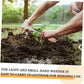 🌱¡50% DE DESCUENTO AHORA! Nueva herramienta quitamalezas de grieta 2026, quitamalezas manual de metal con mango de madera para jardín y terraza