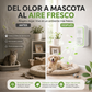 Mini Purificador de Aire Enchufable de Iones Negativos