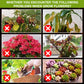 Compre 3 y llévese 5 gratis - Suplemento Potenciador del Crecimiento Vegetal