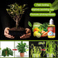 Compre 3 y llévese 5 gratis - Suplemento Potenciador del Crecimiento Vegetal