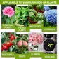 Compre 3 y llévese 5 gratis - Suplemento Potenciador del Crecimiento Vegetal