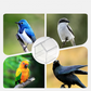 Comedero Externo Extraíble para Loros