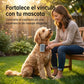 Cepillo Carda Profesional para Aseo de Mascotas