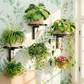 🐦💧 ¡50% DE DESCUENTO! Bebedero de Metal para Pájaros de Pared – Resistente a la Intemperie, Fácil de Limpiar e Ideal para Jardín, Balcón y Terraza 🌿