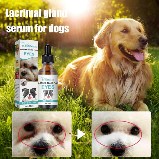 🐱🐶Limpiador y Gotas para los Ojos de Mascotas – Fórmula suave con pH equilibrado, segura para perros y gatos. Alivia el enrojecimiento, elimina las manchas de lágrimas y la suciedad diaria. ¡Sin peróxido! 🌿💧