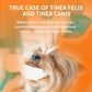 🐱🐶Limpiador y Gotas para los Ojos de Mascotas – Fórmula suave con pH equilibrado, segura para perros y gatos. Alivia el enrojecimiento, elimina las manchas de lágrimas y la suciedad diaria. ¡Sin peróxido! 🌿💧
