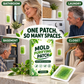 Parches Antimoho para Paredes del Hogar, Cocina y Baño (6 Piezas)